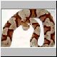 Agkistrodon contortrix contortrix