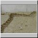 1,0 Crotalus viridis viridis